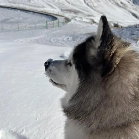 Foux D Piscine 4 Personnes 아파트 *